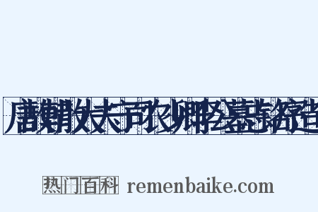 唐故朝散大夫守司农少卿李公墓志铭序造句是什么意思的图片